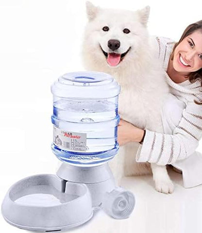 Thirsty Pup's Personal Water Park: The Ultimate Automatic Splash Zone for Furry Hydration!