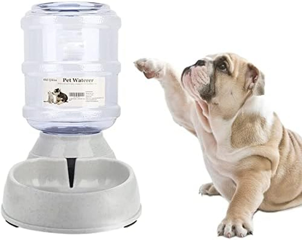 Thirsty Pup's Personal Water Park: The Ultimate Automatic Splash Zone for Furry Hydration!