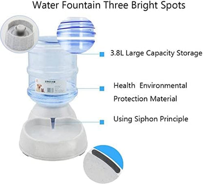 Thirsty Pup's Personal Water Park: The Ultimate Automatic Splash Zone for Furry Hydration!
