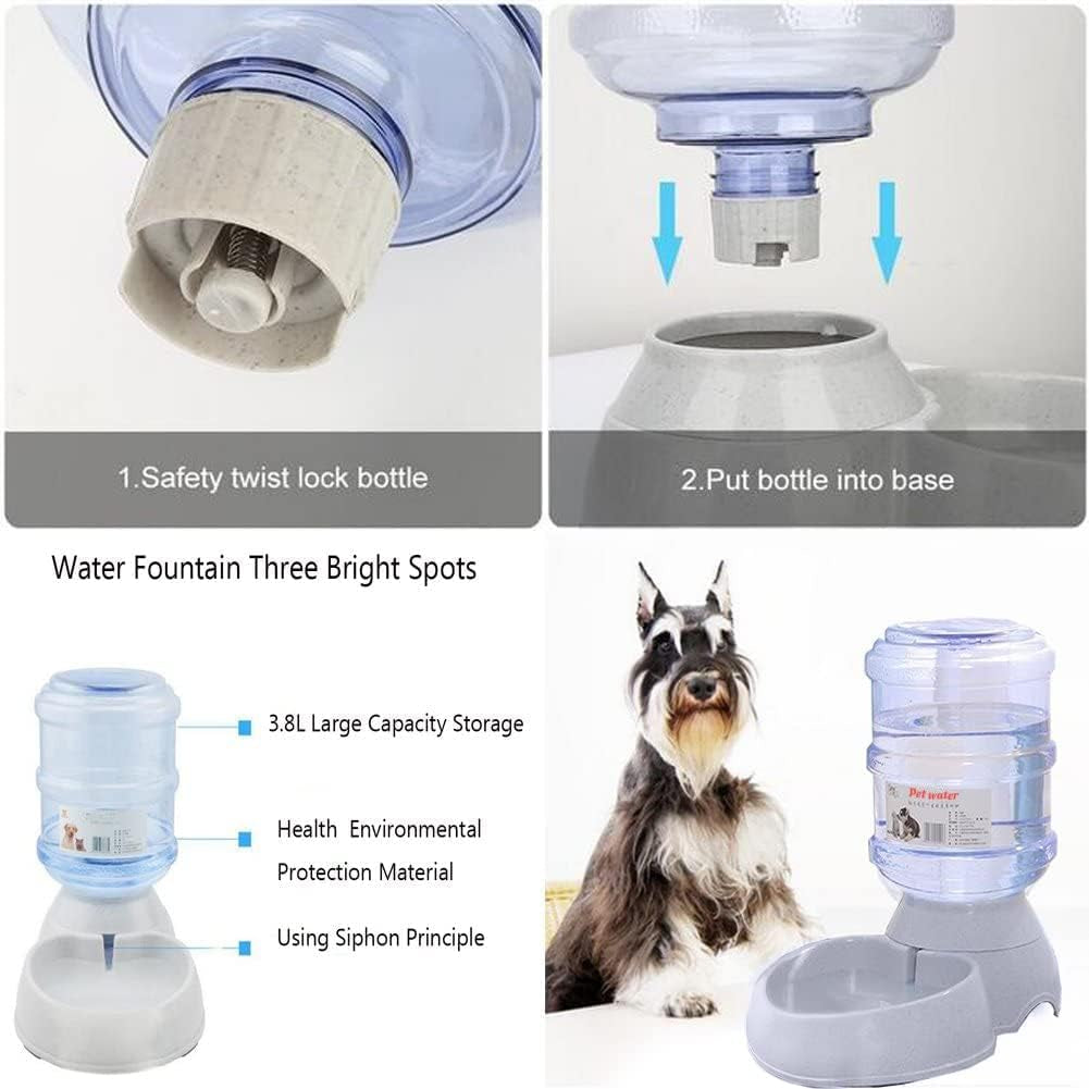 Thirsty Pup's Personal Water Park: The Ultimate Automatic Splash Zone for Furry Hydration!