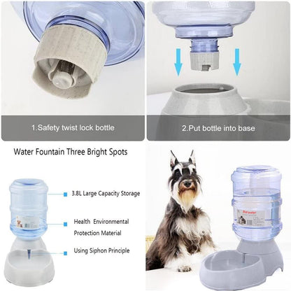 Thirsty Pup's Personal Water Park: The Ultimate Automatic Splash Zone for Furry Hydration!