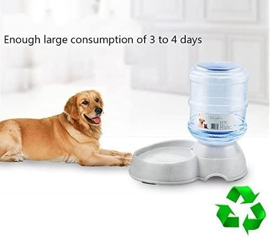 Thirsty Pup's Personal Water Park: The Ultimate Automatic Splash Zone for Furry Hydration!