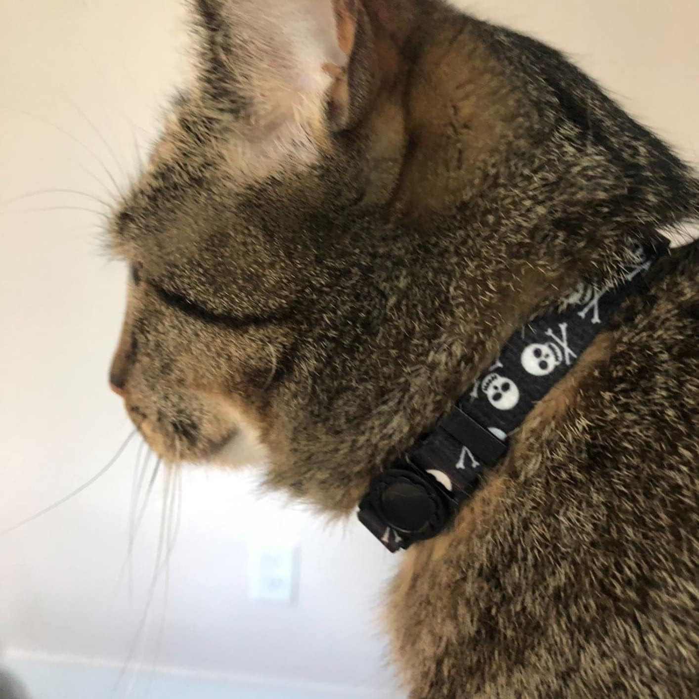 Adjustable Breakaway Cat Collar with Bells, Safety Release Buckle, Skull Design - Ideal for Small Pets, Kittens, and Puppies